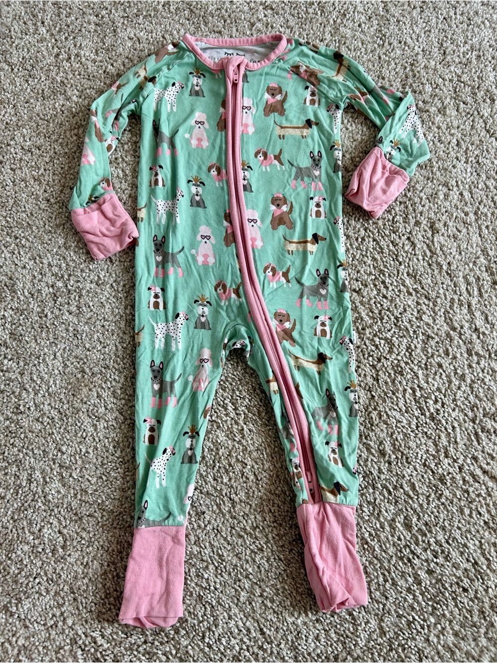 Little Sleepies Aqua Puppy Love Teal Zippy - Size 3-6